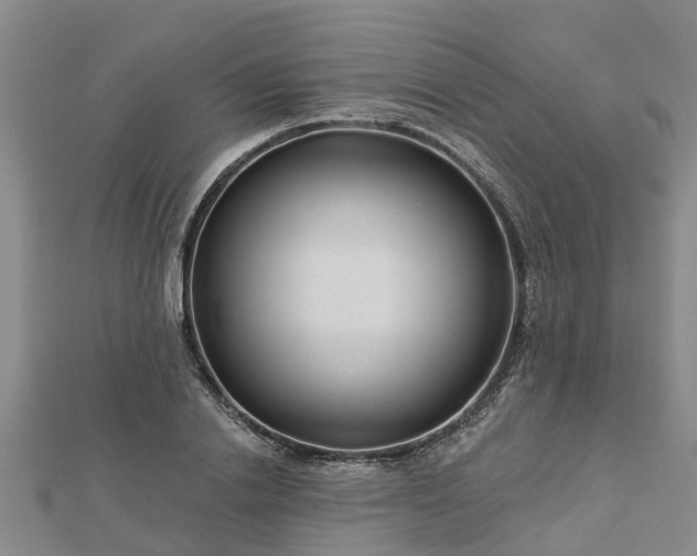 X0000113000838200909031251