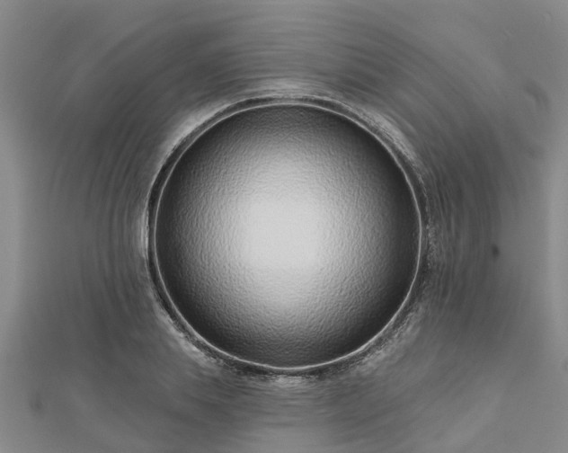 X0000113000839200909031251