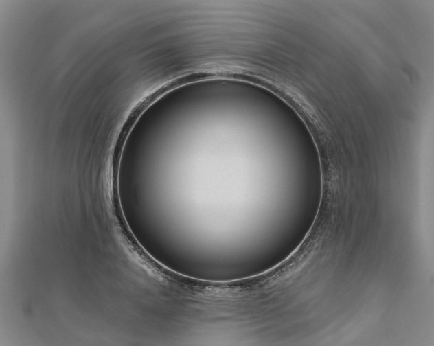 X0000113000840200909031252