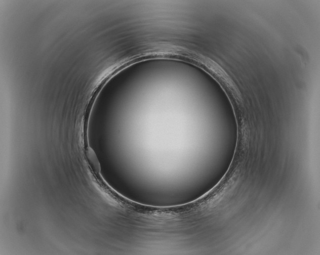 X0000113000842200909031252