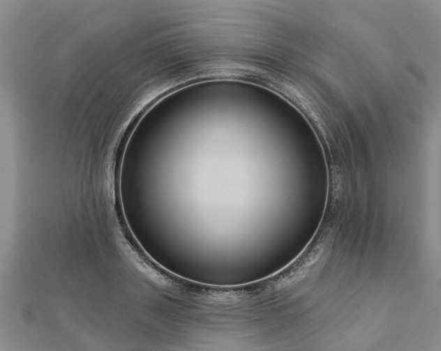 X0000113000843200909031252