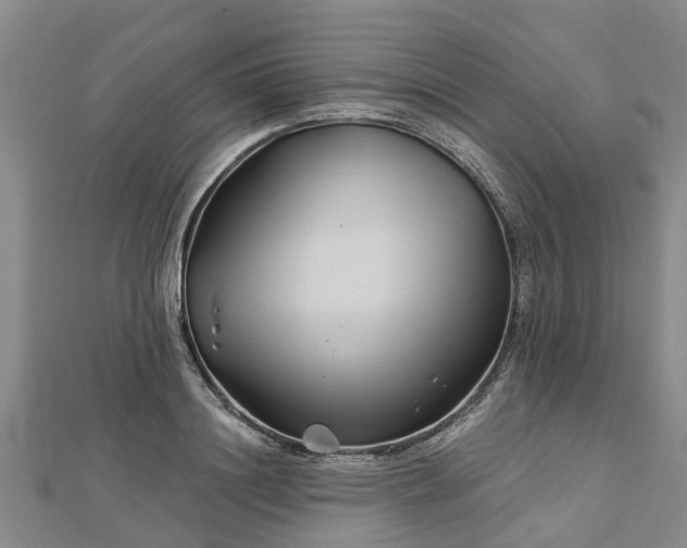 X0000113000844200909031252