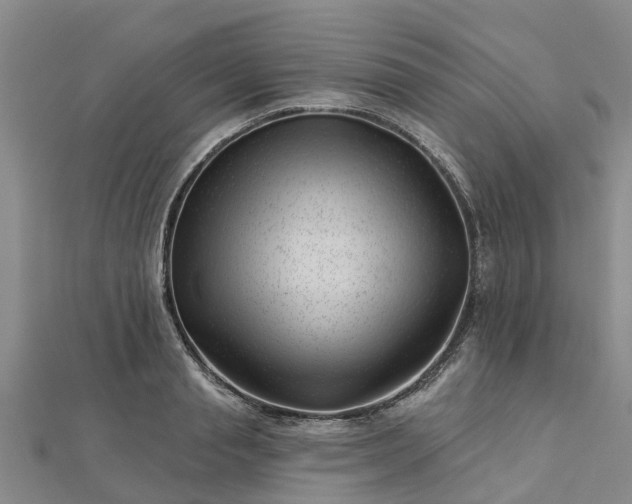 X0000113000845200909031252