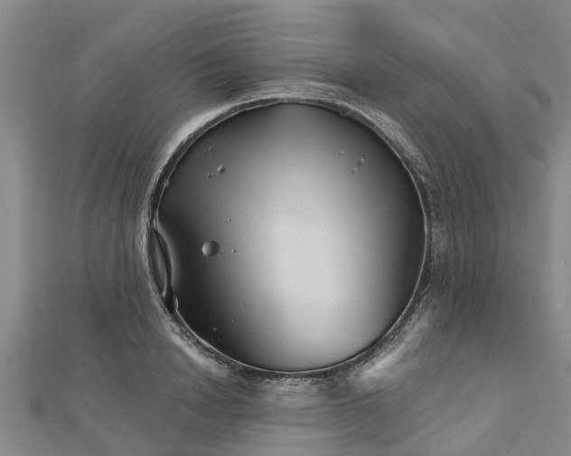 X0000113000846200909031252