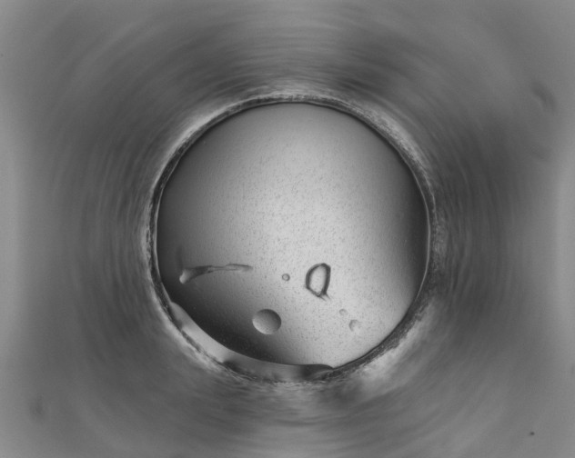 X0000113000847200909031252