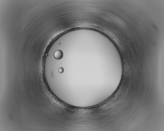 X0000113000848200909031252