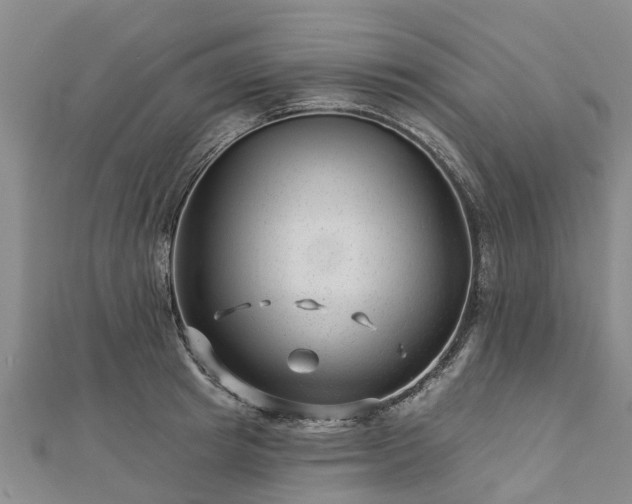 X0000113000849200909031252