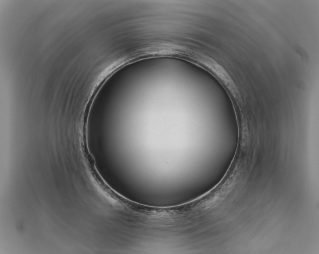 X0000113000850200909031252