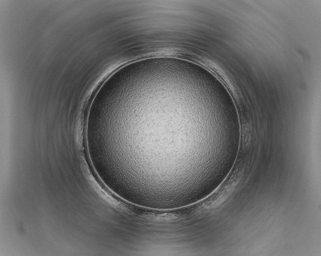 X0000113000851200909031252