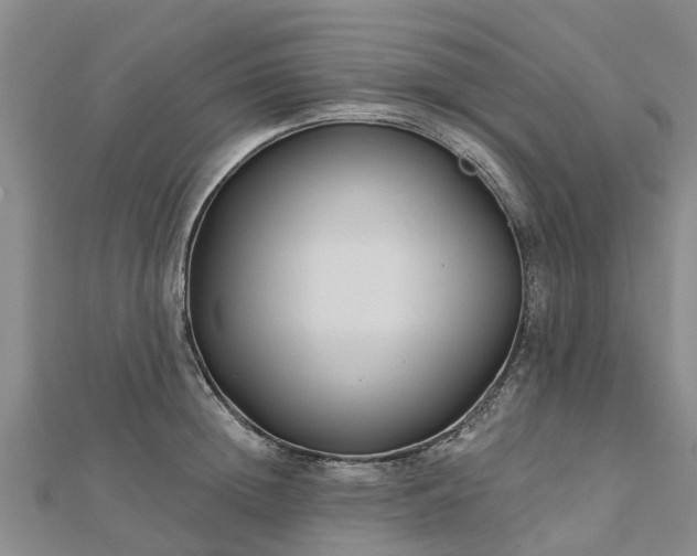 X0000113000852200909031252