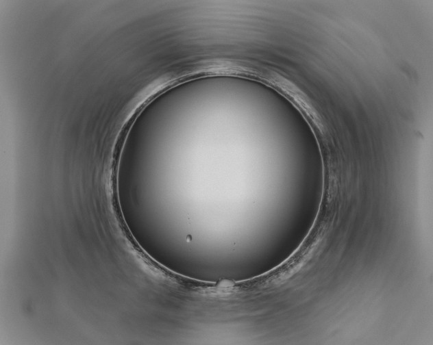 X0000113000853200909031252