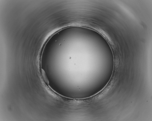 X0000113000854200909031252