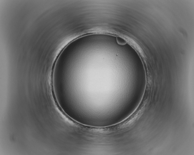 X0000113000855200909031252