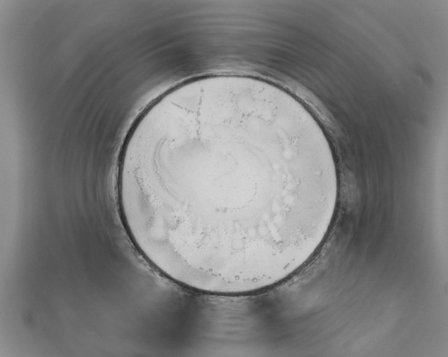 X0000113000856200909031252