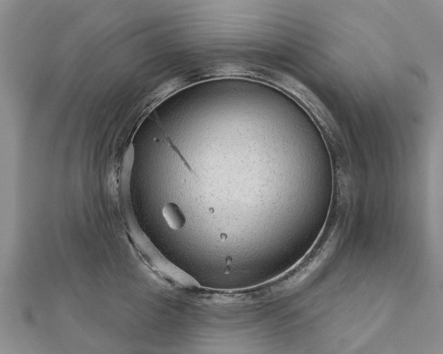 X0000113000857200909031252