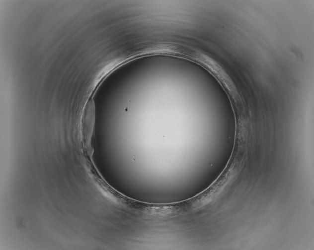 X0000113000858200909031252