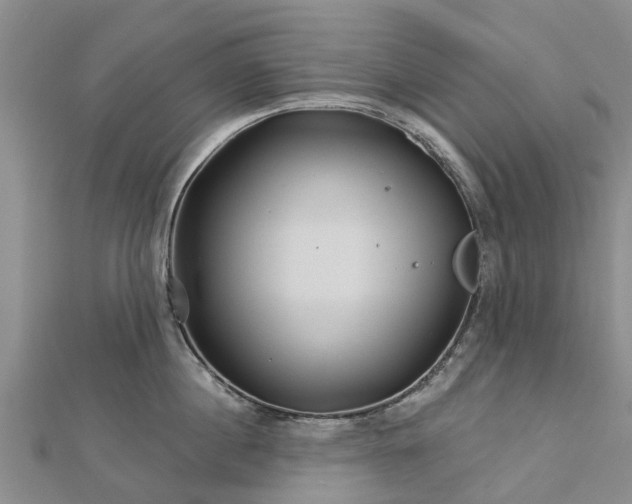 X0000113000860200909031252