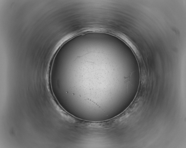 X0000113000861200909031252