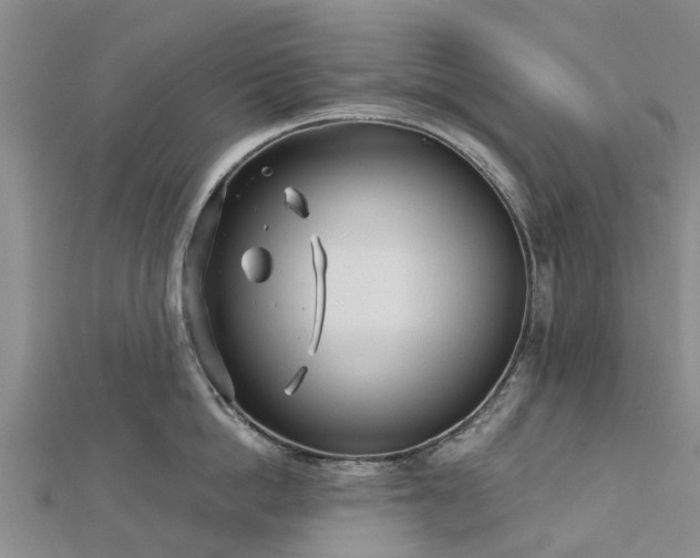 X0000113000862200909031252