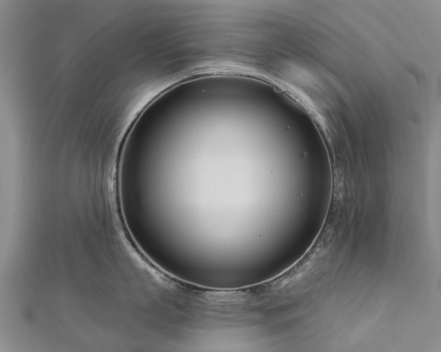 X0000113000863200909031252