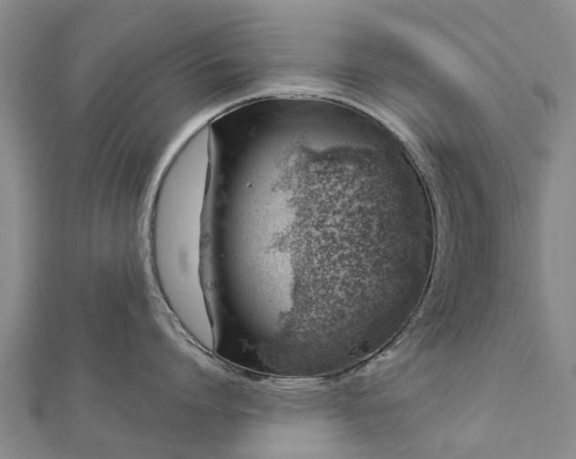 X0000113000864200909031252