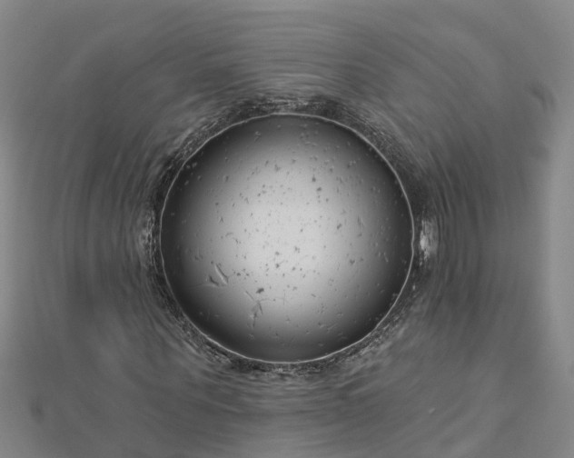 X0000113000867200909031251