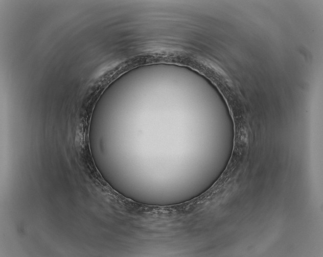 X0000113000869200909031251