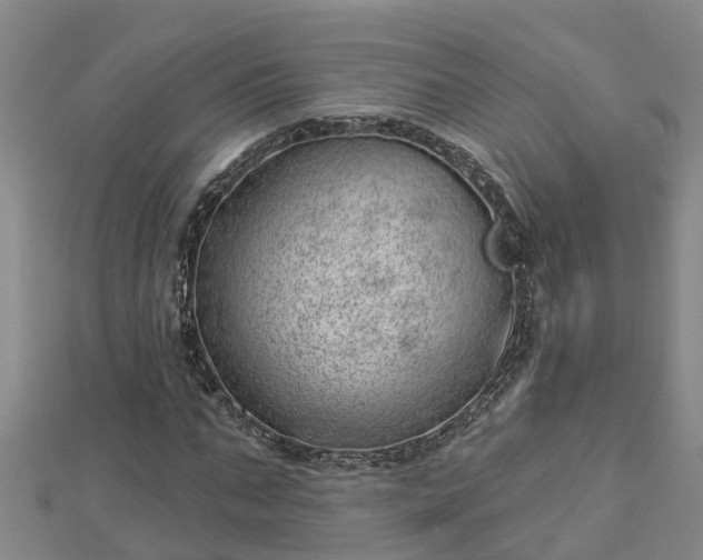 X0000113000871200909031251