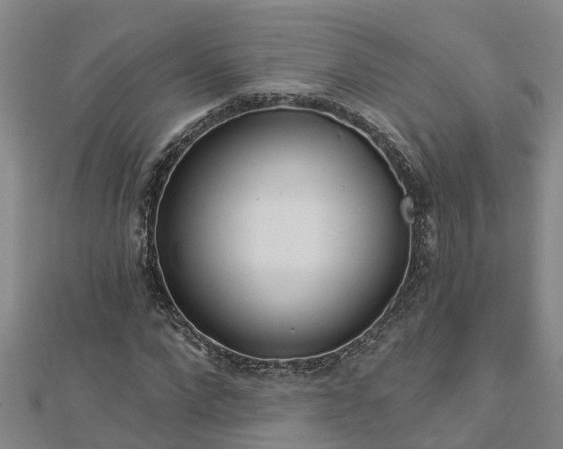 X0000113000872200909031251