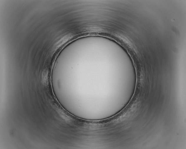 X0000113000873200909031251