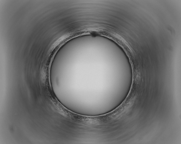 X0000113000874200909031251