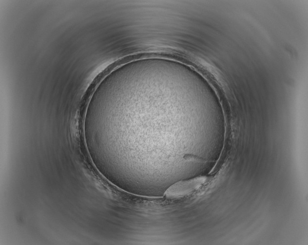 X0000113000875200909031251