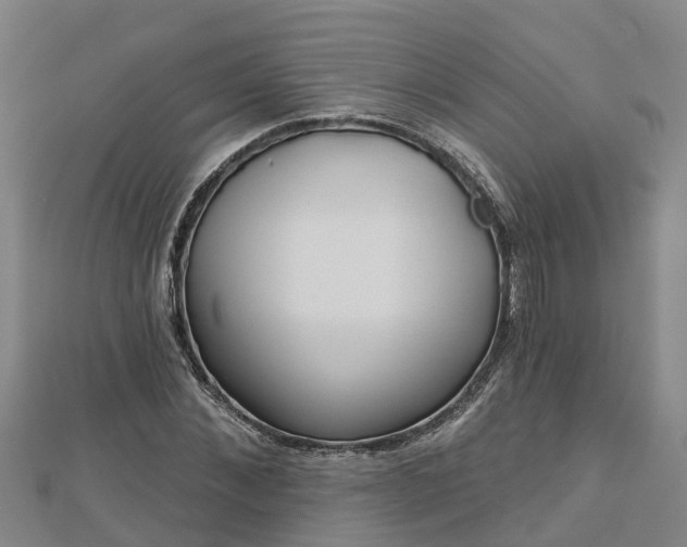 X0000113000876200909031251