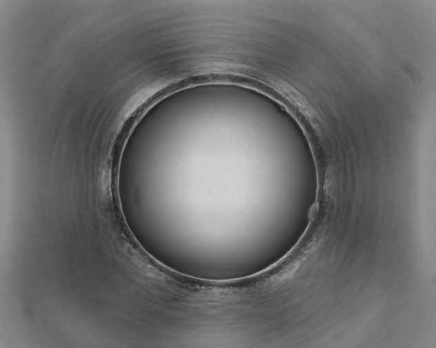 X0000113000877200909031251