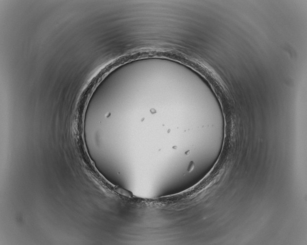 X0000113000878200909031251