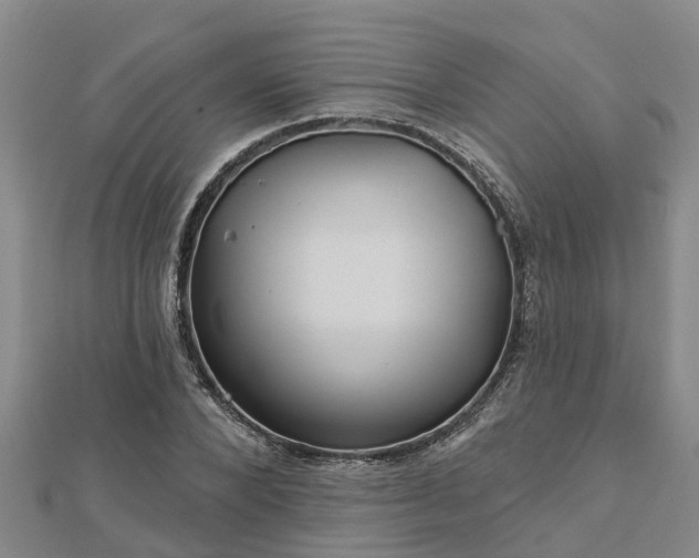 X0000113000880200909031251