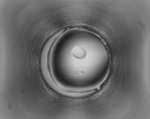 X0000113000881200909031251