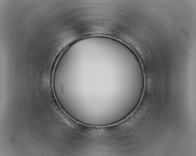 X0000113000882200909031251