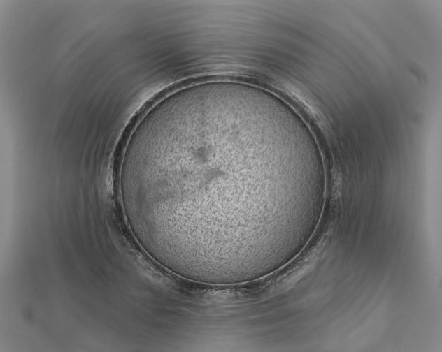 X0000113000883200909031251