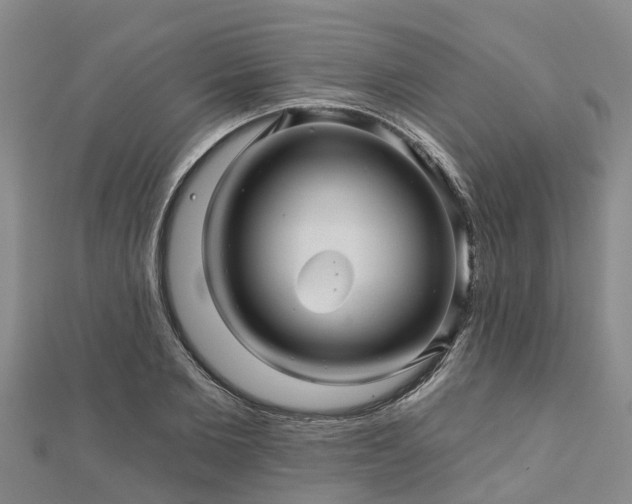 X0000113000885200909031251