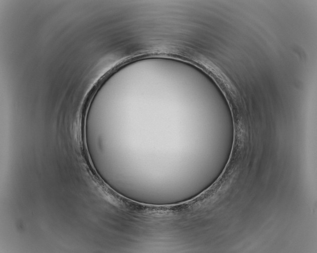 X0000113000886200909031251