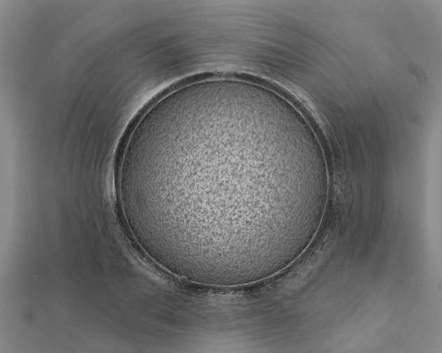 X0000113000887200909031251