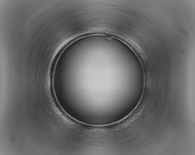 X0000113000888200909031251