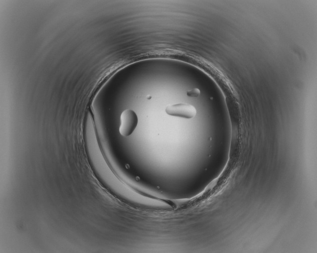 X0000113000889200909031251