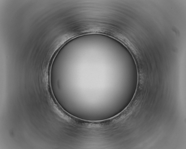 X0000113000890200909031251