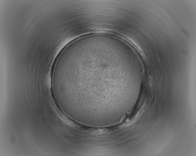 X0000113000891200909031251