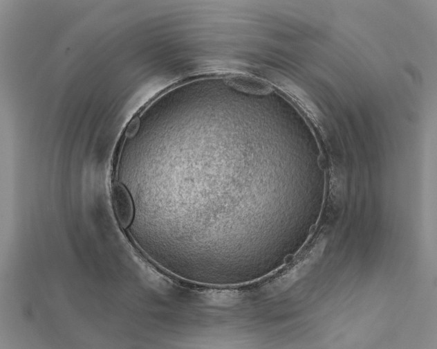 X0000113000893200909031251