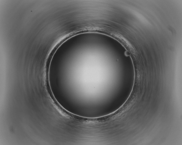 X0000113000894200909031251