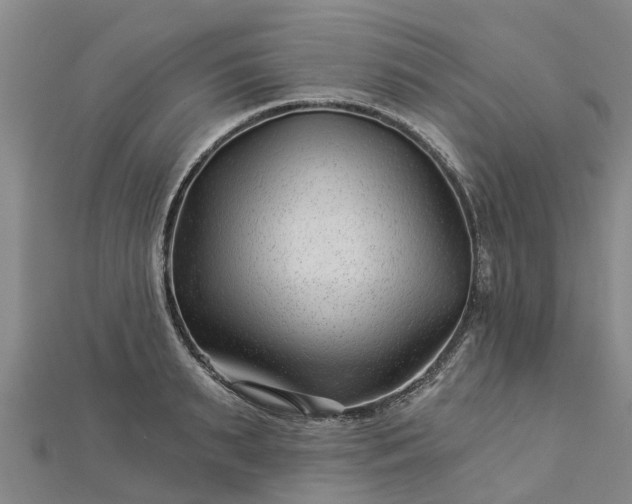 X0000113000895200909031251