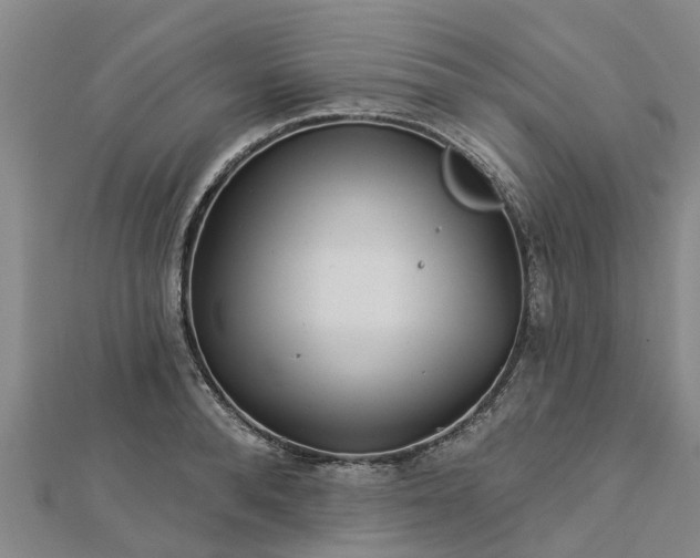 X0000113000896200909031251